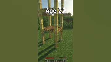 Minecraft Traps At Different Ages (World