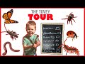 MINI BUG HUNTING IN OUR BACK YARD | INSECTS BUGS CRITTERS AND CREEPY CRAWLIES!