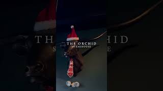 Have You Been To Orchid Steakhouse Yet?