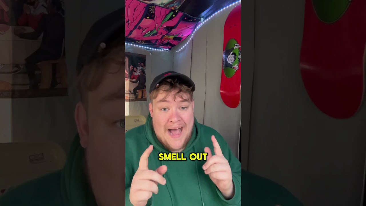 My top 5 strains in Amsterdam 