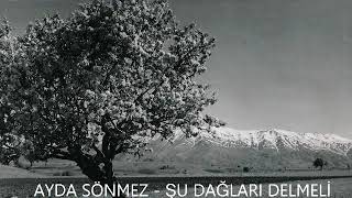 Ayda Sönmez - Şu Dağları Delmeli (Taş Plak)
