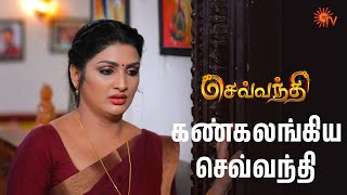 Celebrity Wine is important for Annamalai! Sevvanthi - Semma Scenes | 08 April 2025 | Tamil Serial | Sun TV Net Worth