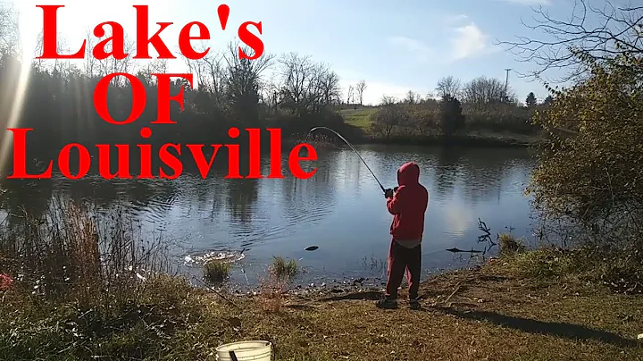 Lake's OF Louisville Best Fishing Lake's In Louisville Kentucky | Fisherman's Park