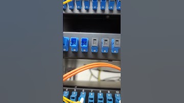 How SFP, Manage Switch, fiber SC to LC patch cord, and cat6 cord all work together ❤️ 😃