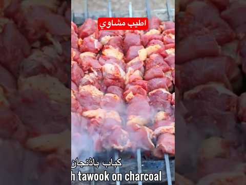 اطيب مشاوي شيش طاووق / كباب الباذنجان /  و شقف اللحم الشوي على الفحم