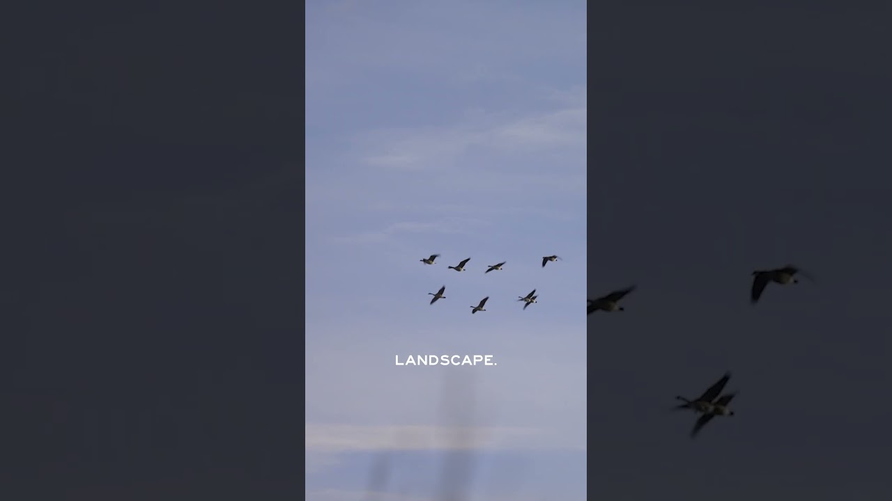 A data center could damage a waterfowl hunting area
