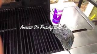 How to Clean Your Oven & Grill Naturally, the Norwex Way!