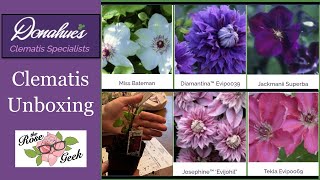 🌹 Donahue's Clematis Unboxing / Rose Companion Plants / Flowering Vines