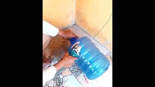 Membuat Kap Lampu Dari Galon Bekas