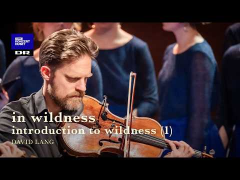 David Lang: in wildness - introduction to wildness (1) // Danish