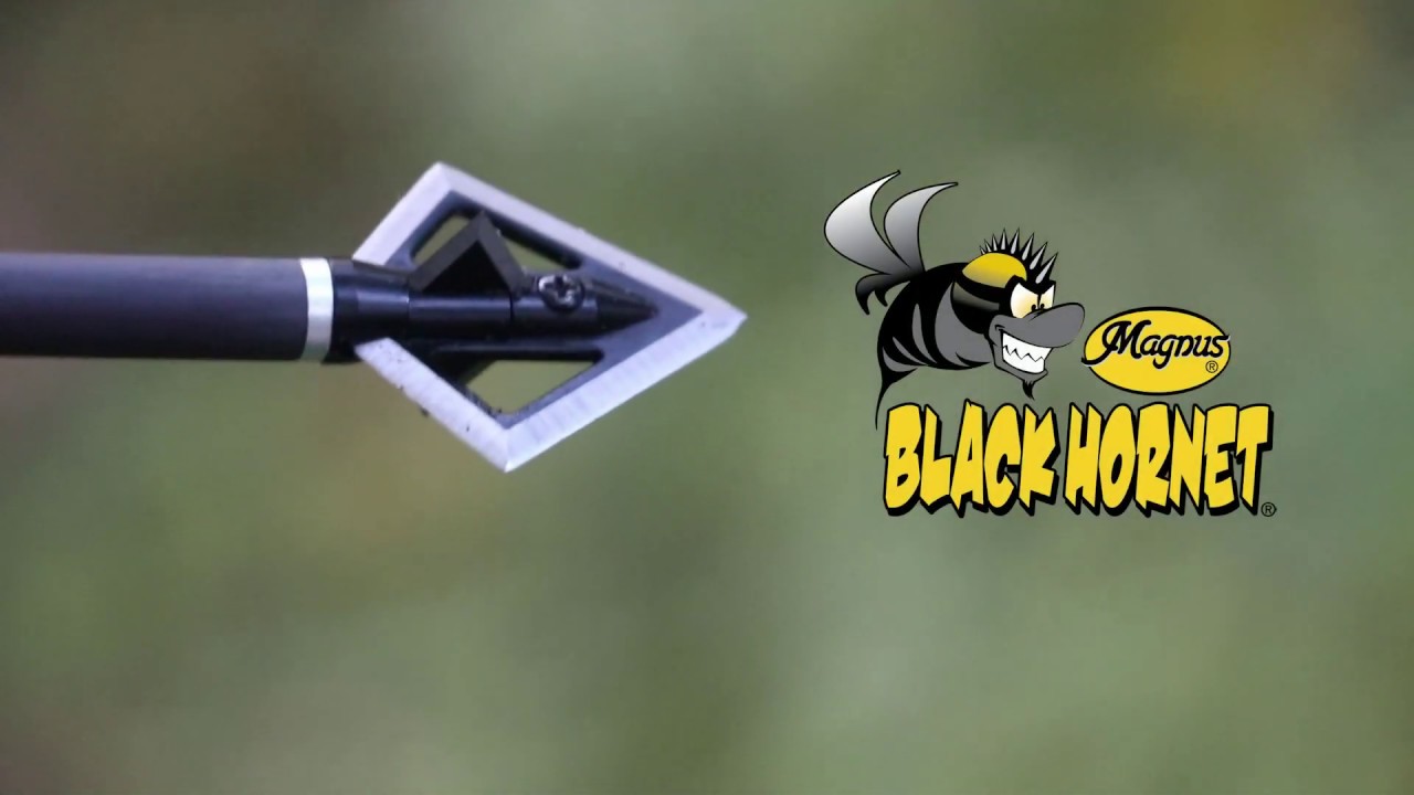 Average Jack Archery PA Buck Magnus Broadheads 2020 ATA Promotional