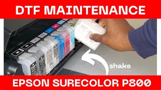 DTF EPSON P800 DAILY MAINTENANCE