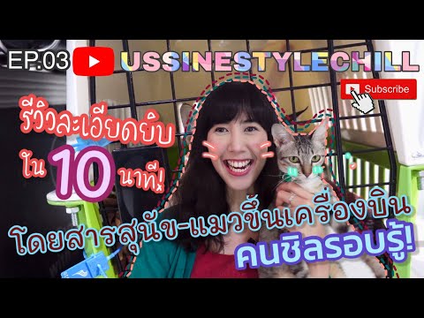 วีดีโอ: 11 วิธีในการทำของเล่นแมวจากสิ่งของที่บ้าน