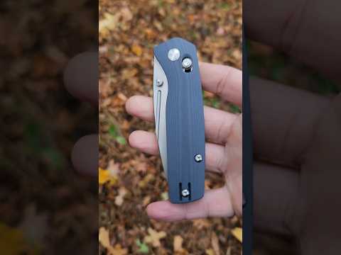 This Knife Would Make A Great EDC Knife!