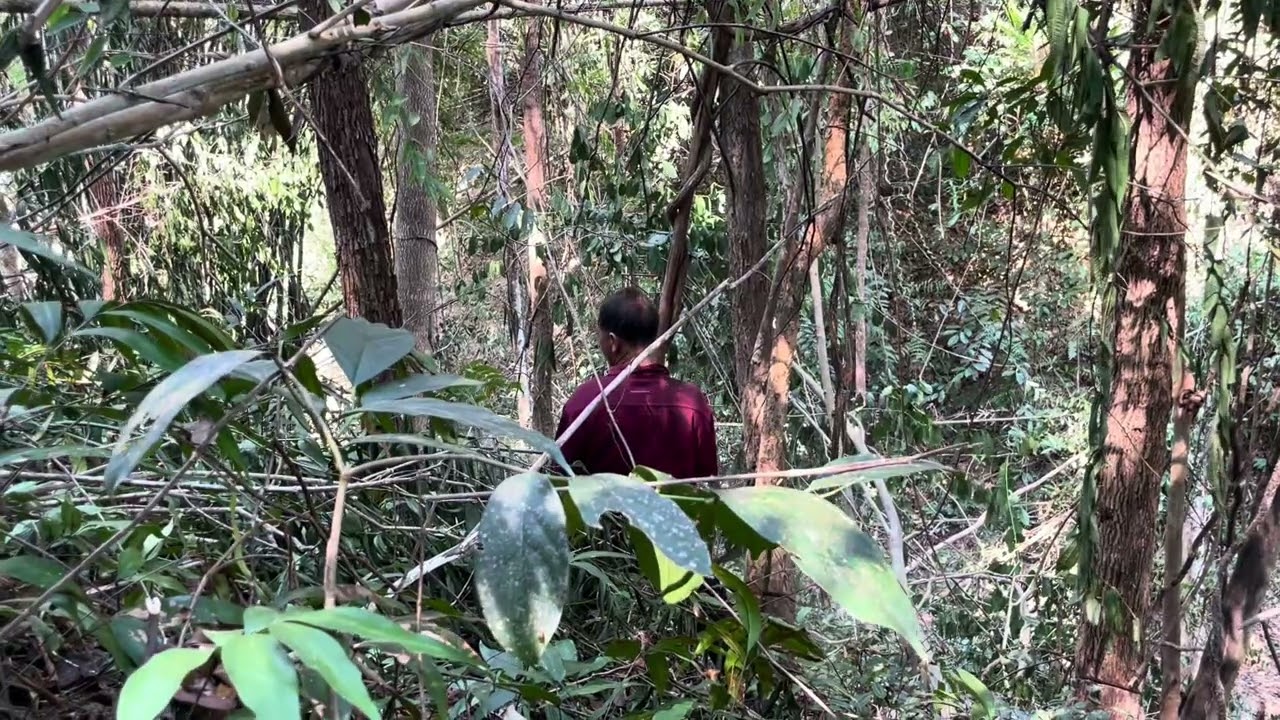 Hnub  no wb ob txiv tub khee ntoo ntov tas lawm/20/2/2026