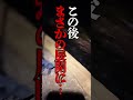 【釣り場で窃盗】犯人はまさかの… #釣り