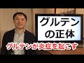 グルテンの正体!なぜ小麦グルテンは炎症を起こすのか【栄養チャンネル信長】