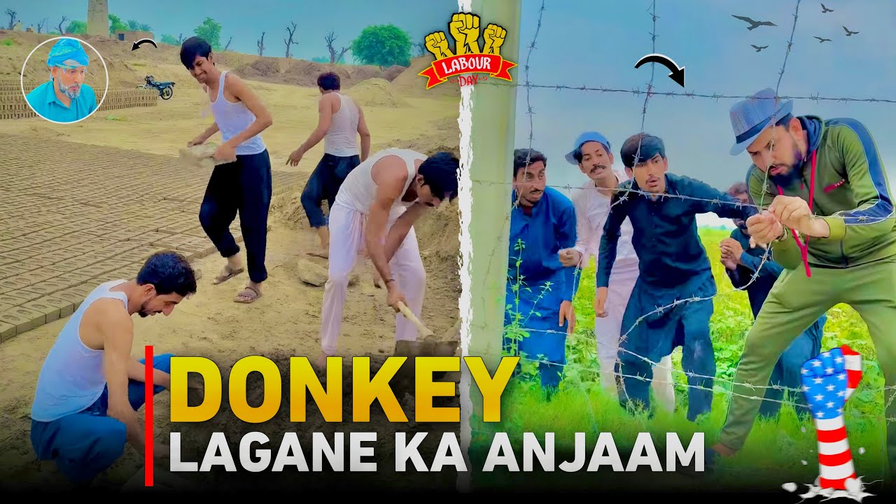 Donkey Lagany ka Anjam 🥺