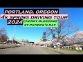 Portland oregon  4k spring driving tour  cherry blossoms  st patricks day  2024