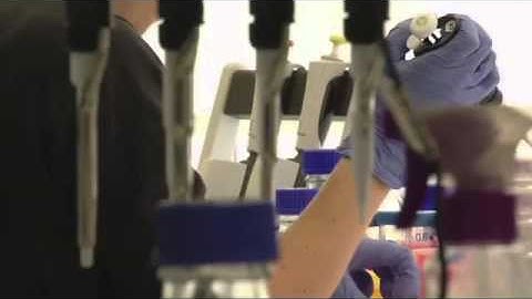 Stem cells the future and introduction