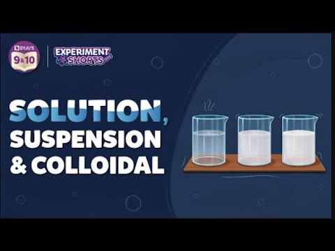 Video: Hoe kunnen we colloïdale oplossingen scheiden?