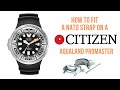 Suppa : How to fit a Nato strap on a Citizen Aqualand Promaster Ecozilla