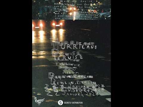 Fionn Regan -  Hurricane Bruise (Visualizer)
