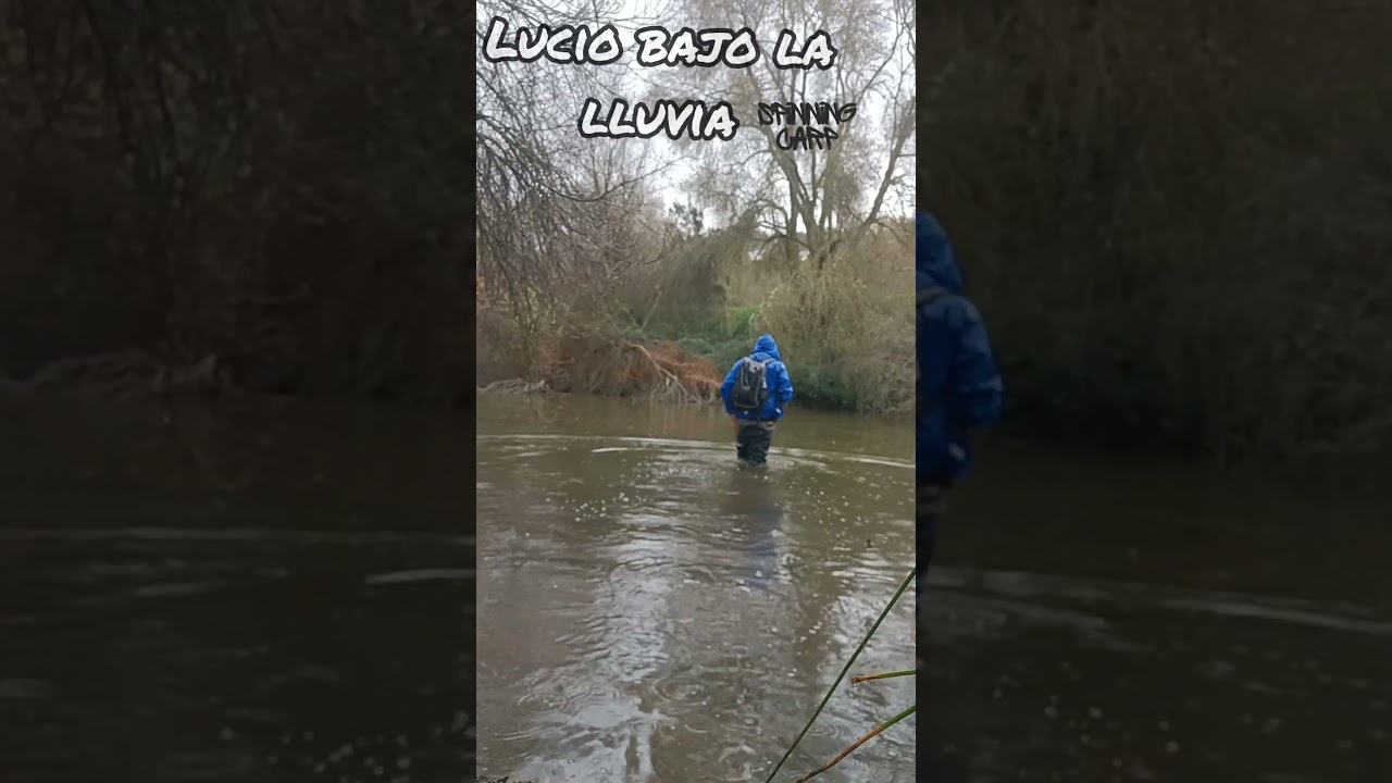Pesca de lucio bajo la lluvia 