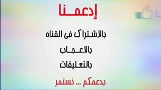 Hamza Namira - El Wad El Abeet _ حمزة نمرة - الواد العبيط