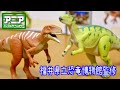 アニア 新商品 福井県立恐竜博物館監修 フクイラプトル フクイサウルス
