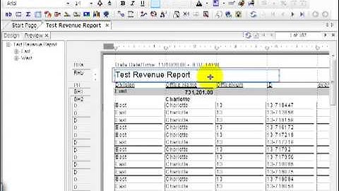40 Crystal ReportsXI Design a Report Beyond the Basics 2   Design Tips pt  2