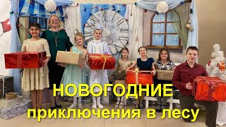 Новогодние приключения в лесу