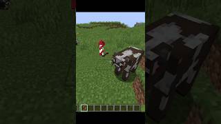 Minecraft’s Most OP Leash Mod