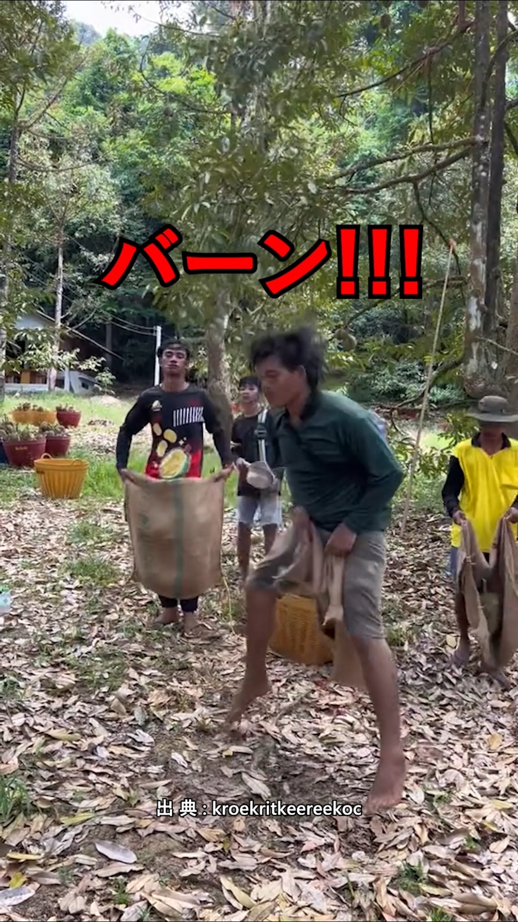 ドリアン 自然に割れた5kg YouTube