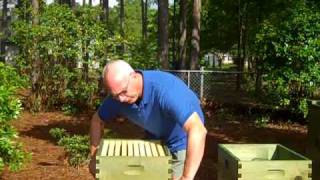 Beekeeping 101 Hive Components