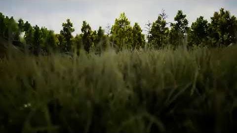 Prueba de Animacion de una Ruta con Cinematica en UE4.22