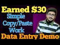 How I Earned $30 with Simple Copy Paste Work | Live Data Entry Demo | HBA Services