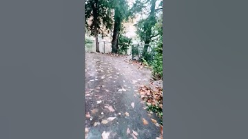 After Rain Rhapsody: Nature