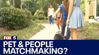 Matchmaking service unites pets and owners | FOX 5 News