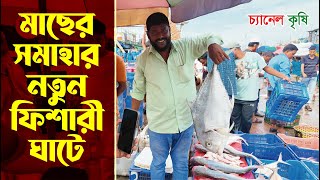 মছর সমহর নতন ফশর ঘট New Fishery Ghat Fish Chattogram Krishi Vlog Channel Krishi