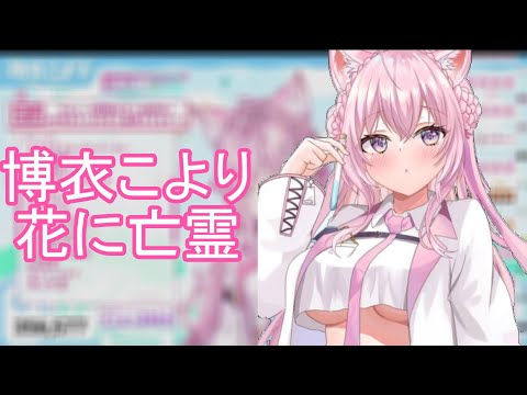 【初歌枠】博衣こより cover 花に亡霊 【中文歌詞】