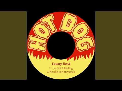 Tawny Reed - Needle in a Haystack