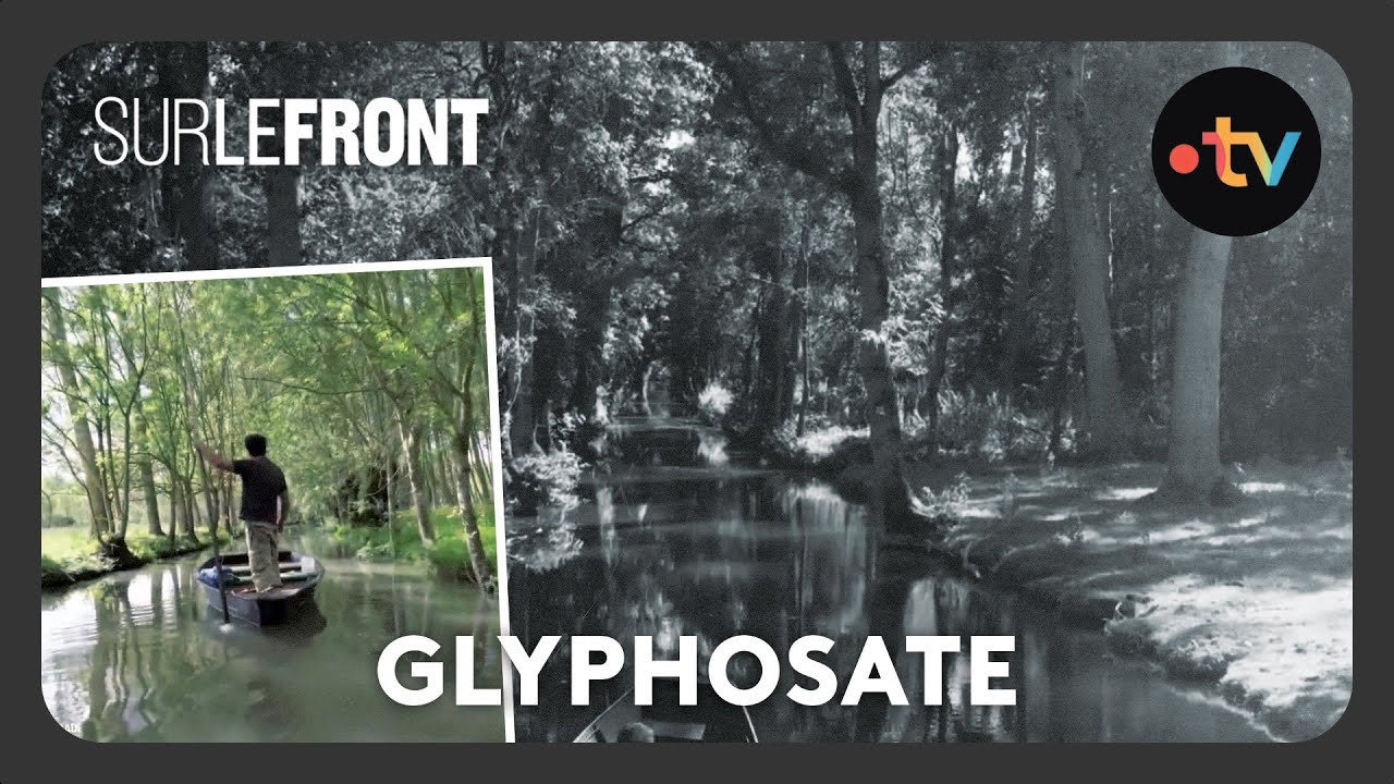 Le glyphosate a-t-il tué la Venise verte ? - avec Hugo Clément