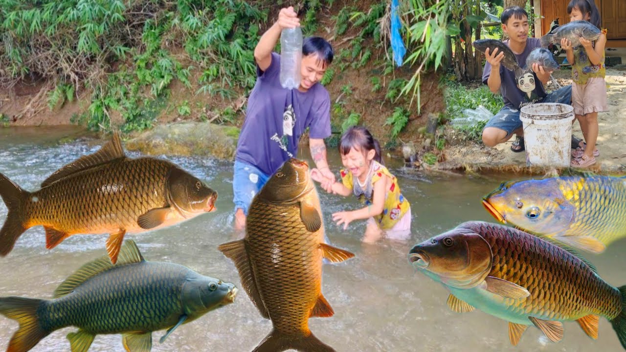 Single Dad, Meet a giant school of fish, catch and trap fish with his 4 ...