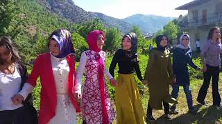 Köy Düğünü Gülaçar Köyü Gümüşhane Davul Zurna
