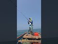 gt fishing 🎣🤩🐟 #kokanfishing #fishing #gtfishing #fish #vairalvideo #पारंपरिक #मासेमारी #poping