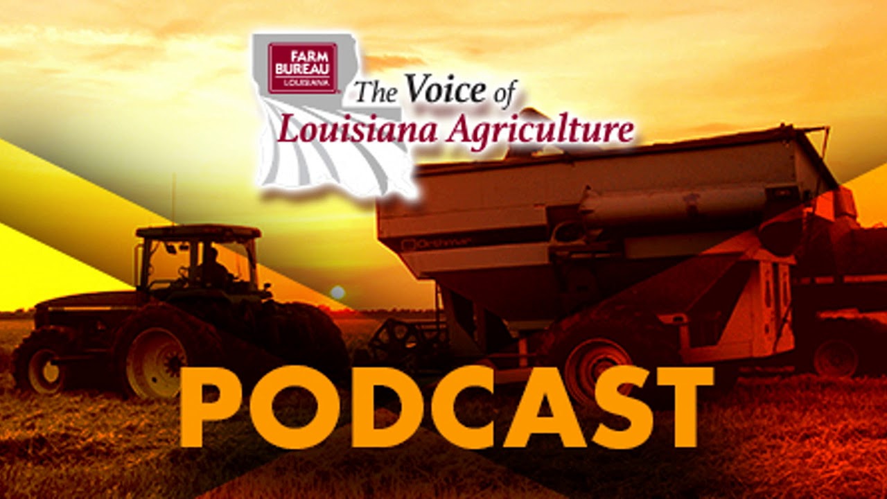 News, Markets & Pointe Coupee Parish Farmer George LaCour