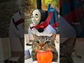 OHIO THOMAS SCARY рџ Ђ OHIO THOMAS SCARY рџ Ђ