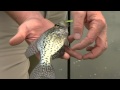 Fishing Basics: Handling Fish