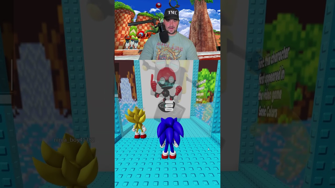 Сможете ли вы угадать персонажей Соника?